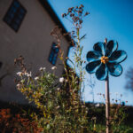 Dům obnovy tradic, ekologie a kultury – DOTEK v Horním Maršově