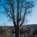 Dům obnovy tradic, ekologie a kultury – DOTEK v Horním Maršově