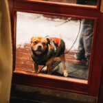 Křest deskové hry Krakonoši, jak to bylo? v Peci pod Sněžkou