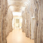 Den otevřených dveří na České lesnické akademii v Trutnově