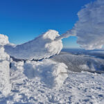 Sněžka na Boží hod objektivem Miloše Šálka