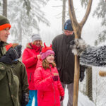 Mikuláš, andělé a čerti na Stezce korunami stromů