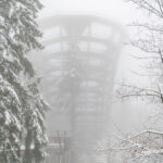 Mikuláš, andělé a čerti na Stezce korunami stromů