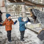 Mikuláš, andělé a čerti na Stezce korunami stromů