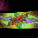 Novoroční ohňostroj na Bojišti se povedl, ale tichý nebyl