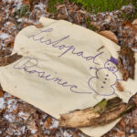 FOTO: Silvestr zpestřila dětem zážitková trasa