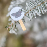 FOTO: Silvestr zpestřila dětem zážitková trasa