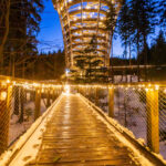 Magická stezka rozsvítila krkonošský les