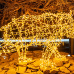 Magická stezka rozsvítila krkonošský les