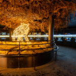 Magická stezka rozsvítila krkonošský les