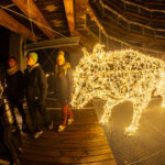 Magická stezka rozsvítila krkonošský les