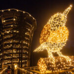 Magická stezka rozsvítila krkonošský les