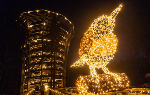 Magická stezka rozsvítila krkonošský les