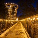 Magická stezka rozsvítila krkonošský les