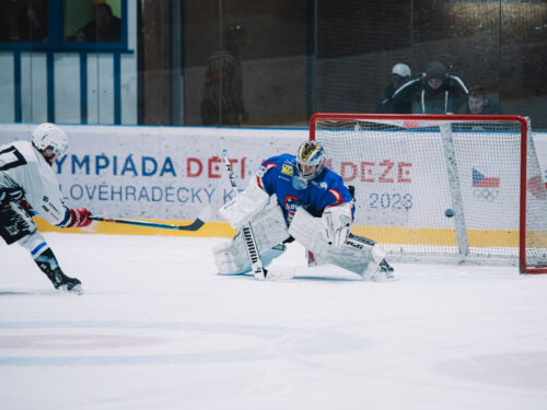 Draci slaví vyrovnání série, druhou bitvu rozhodly až nájezdy