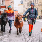 FOTO: Nejen děti z Pastelky si užívaly masopustní radovánky