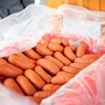 Opékání špekáčků na Krakonošově náměstí