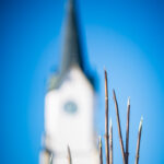 Opékání špekáčků na Krakonošově náměstí