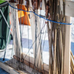 Opékání špekáčků na Krakonošově náměstí