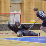 Florbal, divizní play-up: Trutnov - Slavia Praha (4:11)