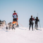 30. ročník Ledové jízdy, etapového závodu psích spřežení