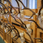 FOTO: Víkend na Lesárně ve znamení loveckých úlovků i dobrot