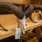 FOTO: Víkend na Lesárně ve znamení loveckých úlovků i dobrot