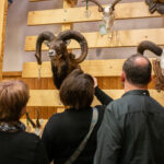 FOTO: Víkend na Lesárně ve znamení loveckých úlovků i dobrot