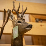 FOTO: Víkend na Lesárně ve znamení loveckých úlovků i dobrot