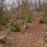 Město odstoupilo od plánu rekultivace lomu v Libči