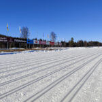 Lesáci na Vasově běhu se stříbrným jubilantem učitelem Kejklíčkem