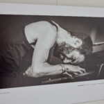 FOTO: Nejlepší snímky Jazz World Photo 2025 jsou k vidění na úřadě