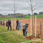 Ve Voletinách přibylo 35 ovocných stromů, se sázením pomáhaly děti