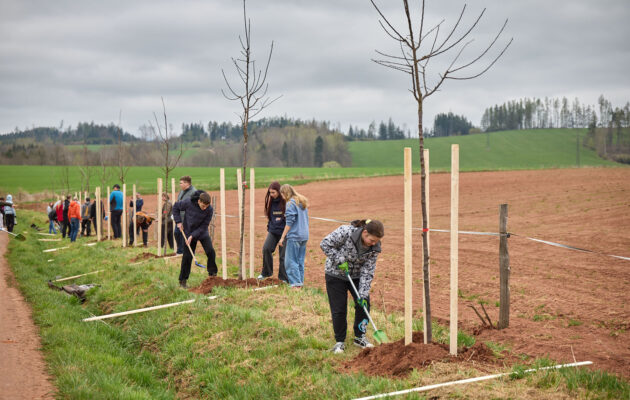 Ve Voletinách přibylo 35 ovocných stromů, se sázením pomáhaly děti
