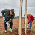 Ve Voletinách přibylo 35 ovocných stromů, se sázením pomáhaly děti