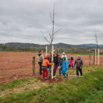 Ve Voletinách přibylo 35 ovocných stromů, se sázením pomáhaly děti