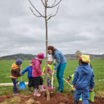 Ve Voletinách přibylo 35 ovocných stromů, se sázením pomáhaly děti