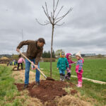 Ve Voletinách přibylo 35 ovocných stromů, se sázením pomáhaly děti