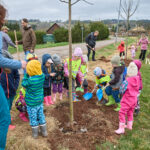 Ve Voletinách přibylo 35 ovocných stromů, se sázením pomáhaly děti