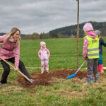 Ve Voletinách přibylo 35 ovocných stromů, se sázením pomáhaly děti