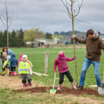 Ve Voletinách přibylo 35 ovocných stromů, se sázením pomáhaly děti