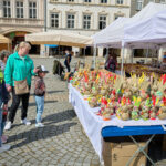 FOTO: Už jste se byli podívat? Velikonoční trhy probíhají do čtvrtka