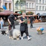 FOTO: Už jste se byli podívat? Velikonoční trhy probíhají do čtvrtka