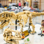 Kostičková výstava na Frimlovce odhaluje fascinující svět Lega