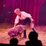 FOTO, VIDEO: Cirkus Prince ukazuje nejen lachtaní show