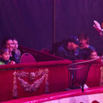 FOTO, VIDEO: Cirkus Prince ukazuje nejen lachtaní show