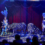 FOTO, VIDEO: Cirkus Prince ukazuje nejen lachtaní show