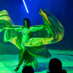 FOTO, VIDEO: Cirkus Prince ukazuje nejen lachtaní show