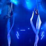 FOTO, VIDEO: Cirkus Prince ukazuje nejen lachtaní show