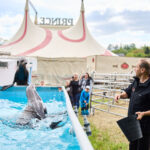 FOTO, VIDEO: Cirkus Prince ukazuje nejen lachtaní show
